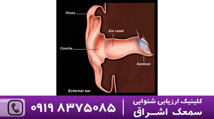 سیستم گوش خارجی